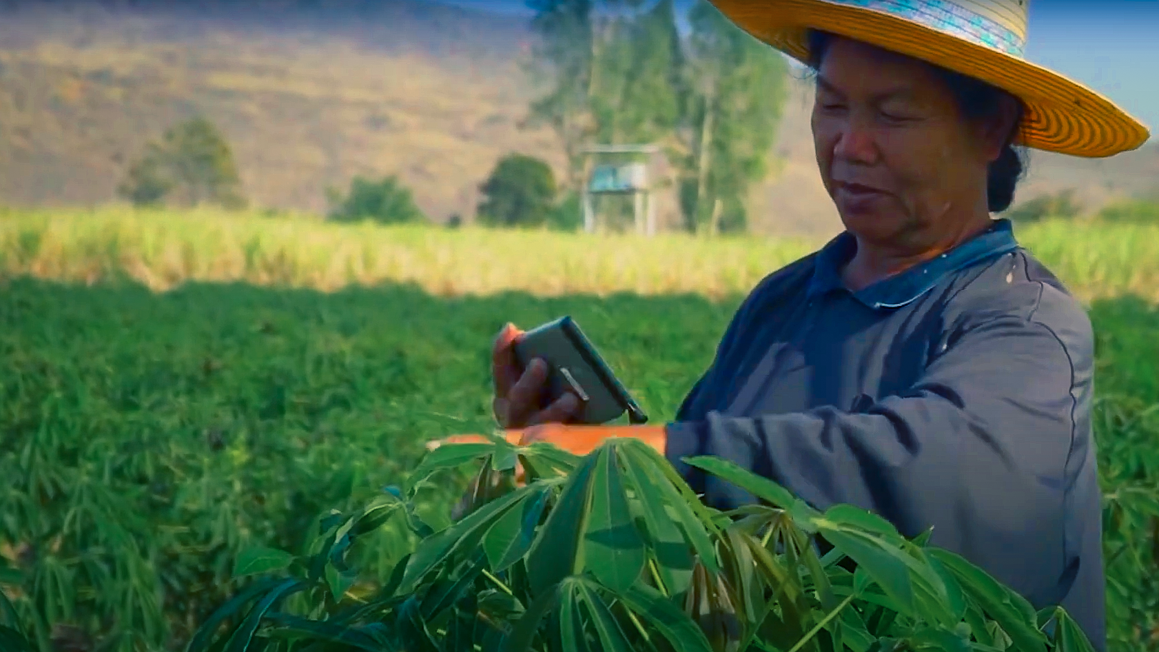 The use of fiber optic networks in rural areas Fiber Cable Solution